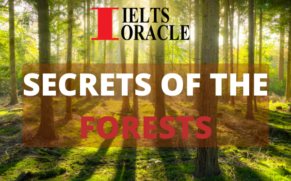 secrets of the forest ielts reading answers