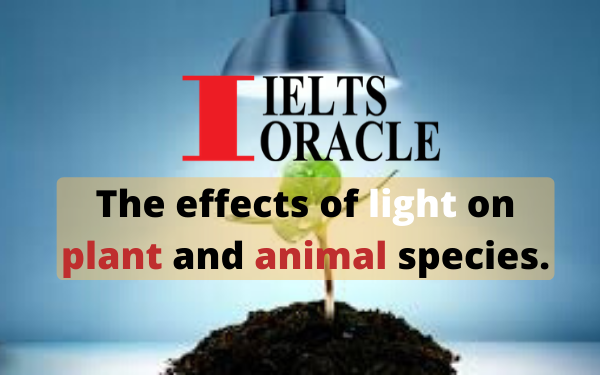 IELTS Reading-The effects of light on plant and animal species | IELTS reading The effects of light on plant and animal species with answers