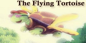 IELTS Reading-Flying tortoises