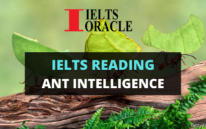 Ielts Reading- Ant Intelligence