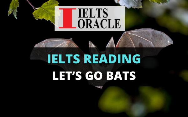 Ielts Reading-Let’s go Bats