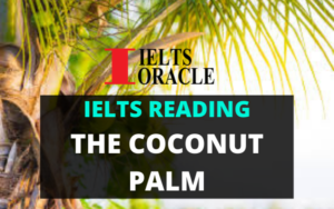 Ielts Reading-The coconut palm