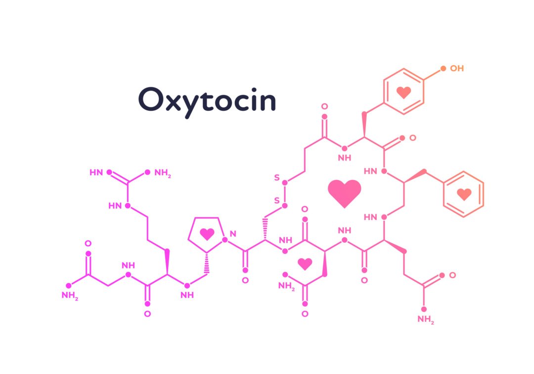 reading passage 2 oxytocin