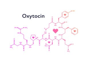  Ielts Reading-Oxytocin
