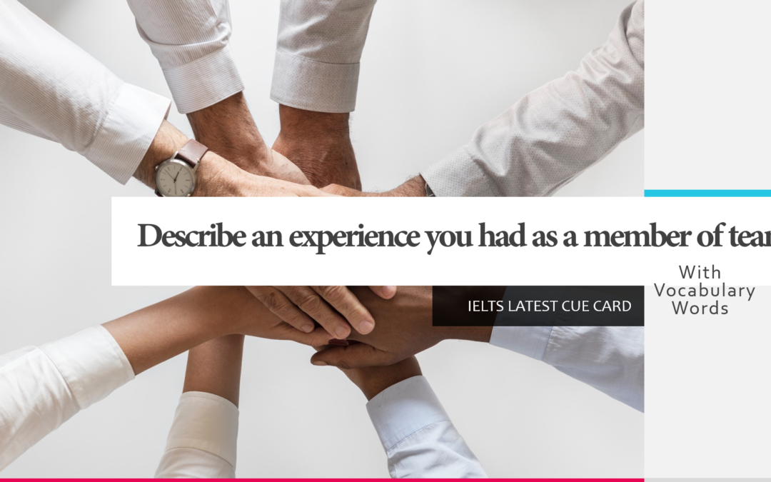 describe an experience you had a member of team