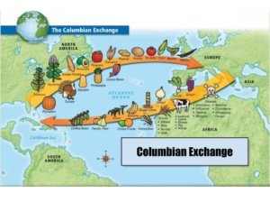 Ielts Reading The Columbian Exchange