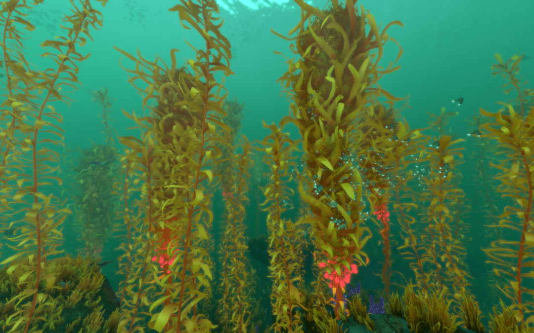 Ielts Reading New Zealand Seaweed