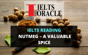 Ielts Reading Nutmeg – a valuable spice
