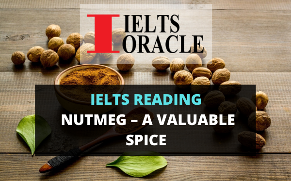 Ielts Reading Nutmeg – a valuable spice | Ielts Cambridge 15 Reading Test 1