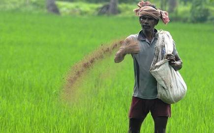 Actual Reading Organic farming and chemical fertilisers