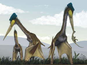 PTEROSAURS