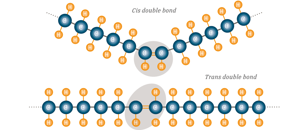 Ielts Reading Trans Fatty Acids