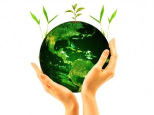 IT’S ECO-LOGICAL