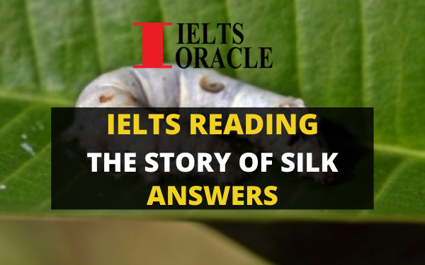 The story of silk reading answers